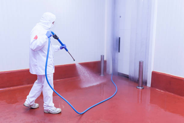 Boat and Dock Cleaning in Coldspring, TX